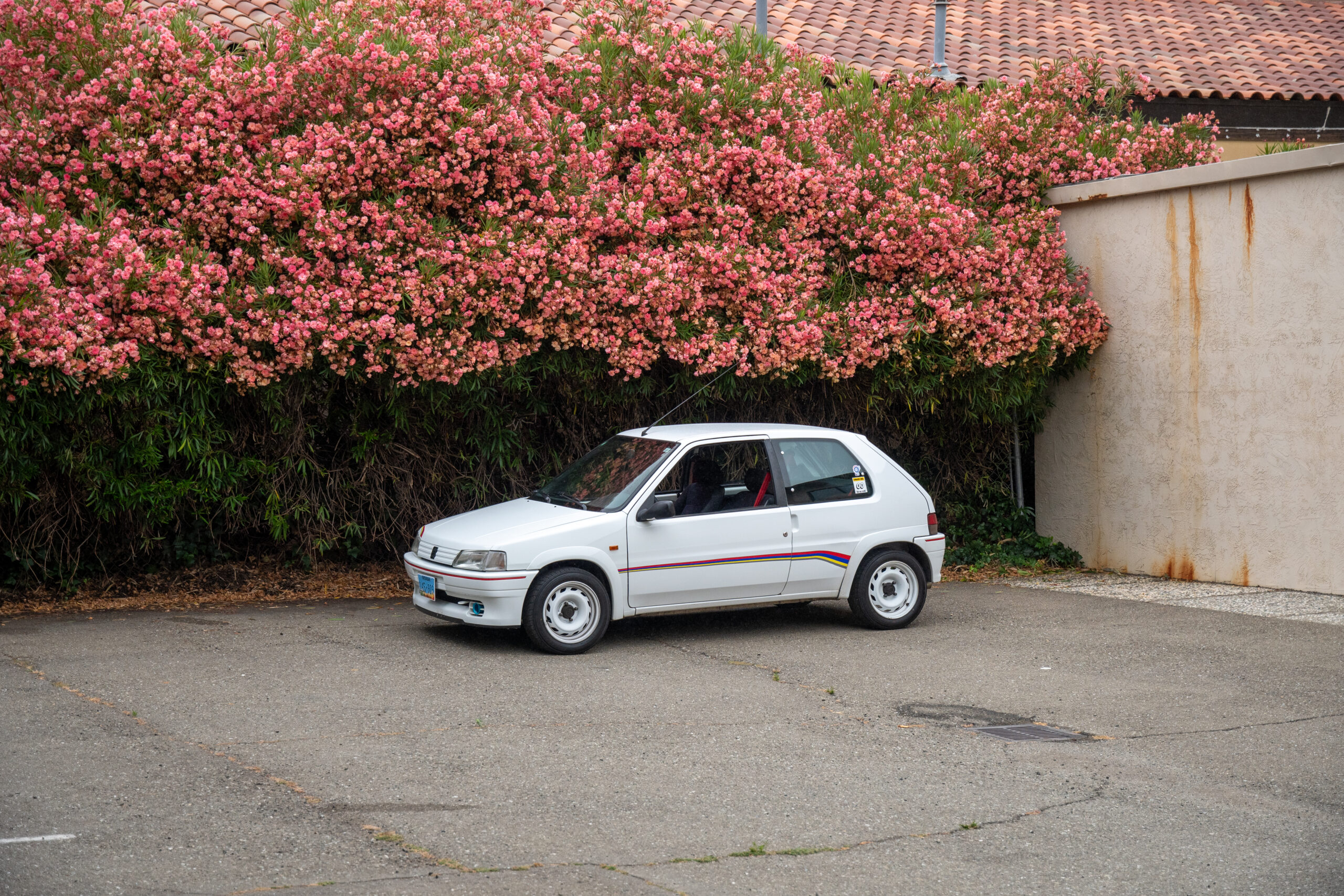 100 Horsepower of Group N Fury: The Peugeot 106 Rallye
