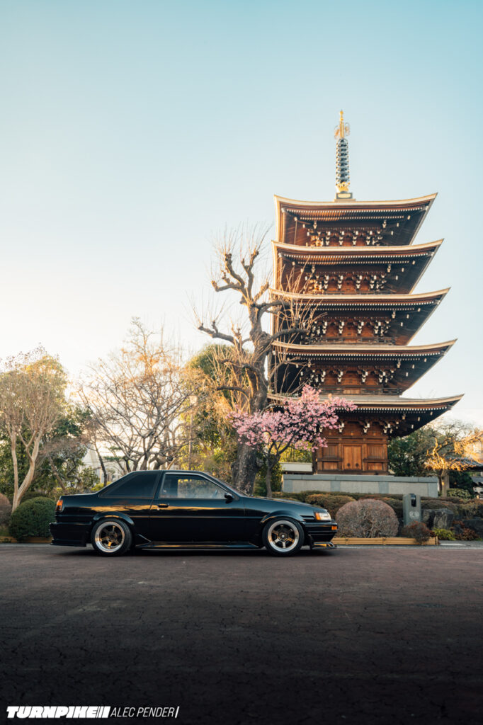 Alec Pender Rays TE TP-305