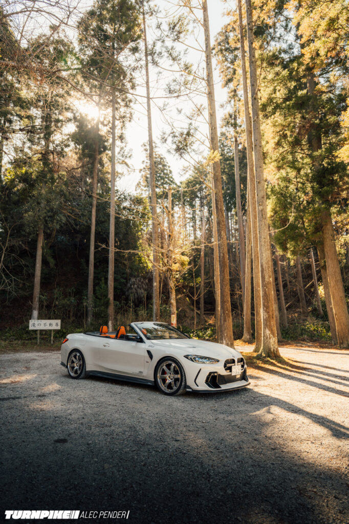 Alec Pender Rays TE TP-307