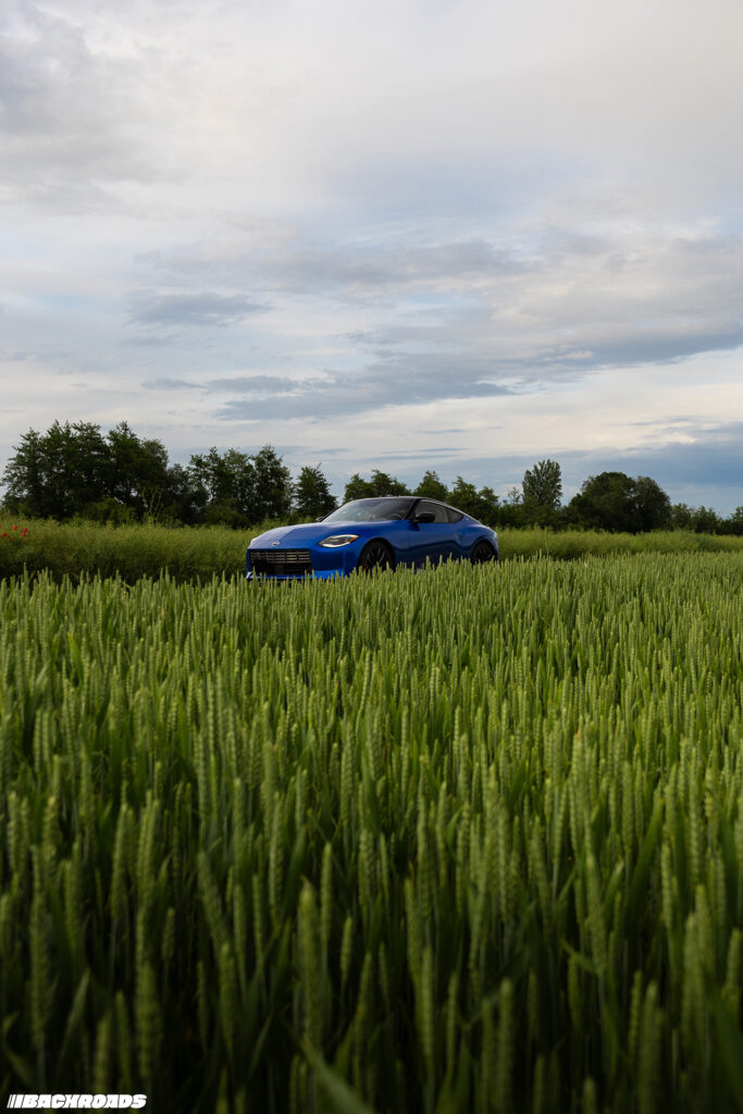 Backroads Daylight (8)