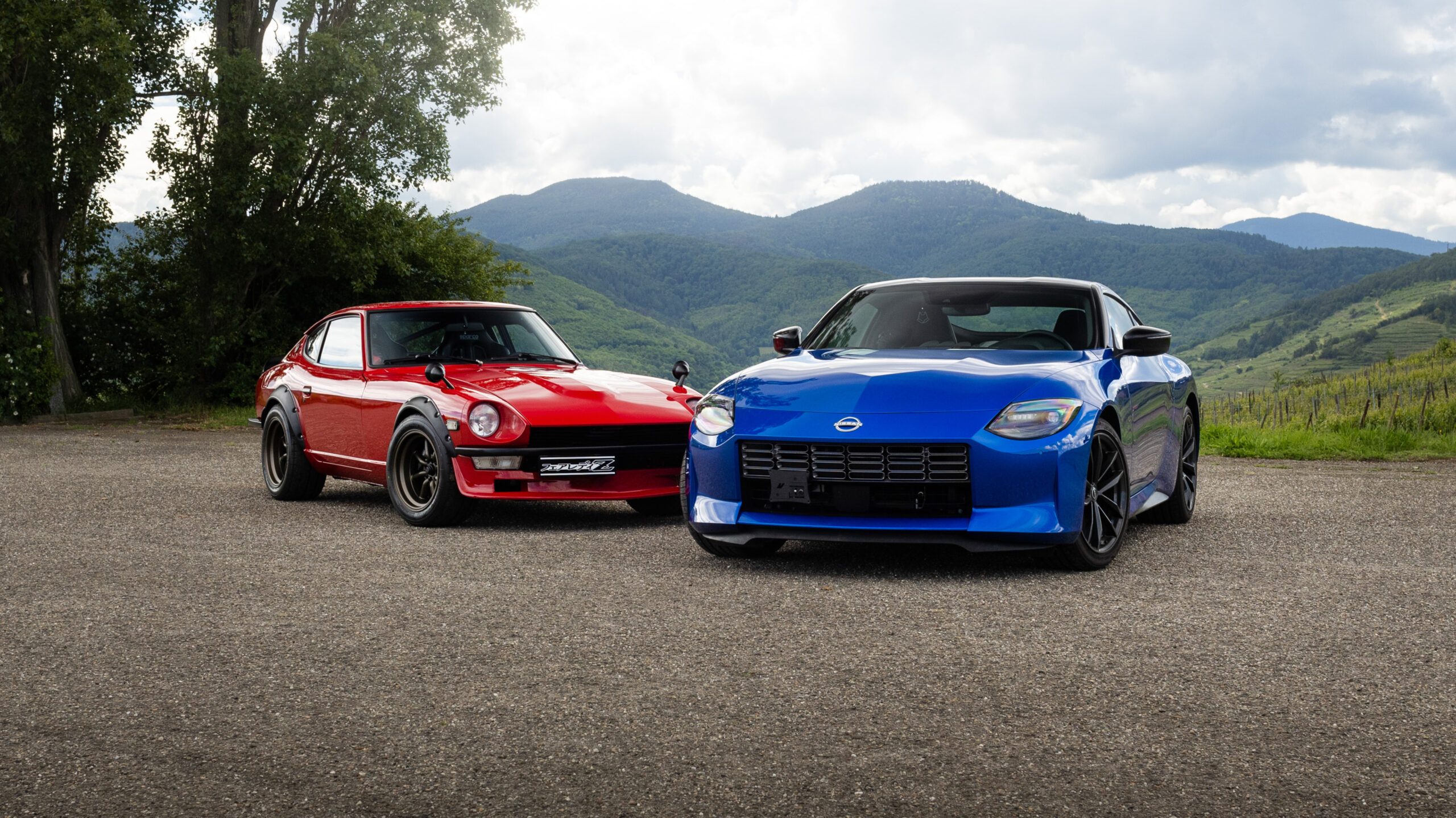 Two Zs, One Unexpected Journey