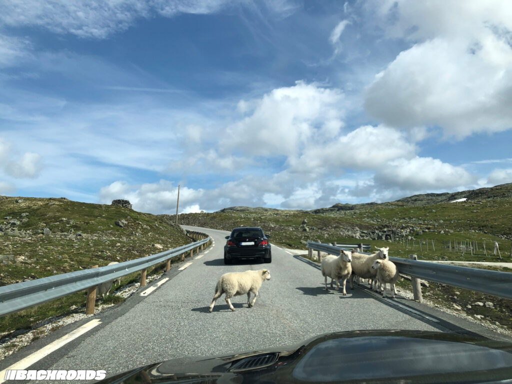 Turnpike-Backroads-BMW-PCC-HGT24-42