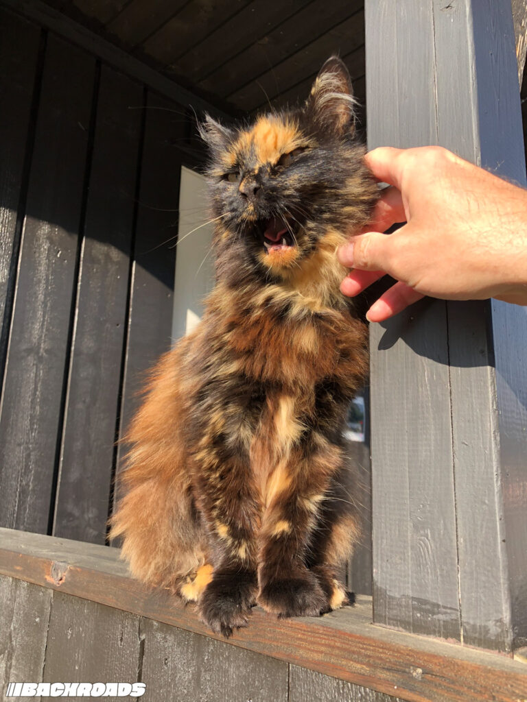 Turnpike-Backroads-BMW-PCC-HGT24-50