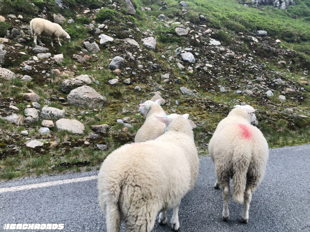 Turnpike-Backroads-BMW-PCC-HGT24-65