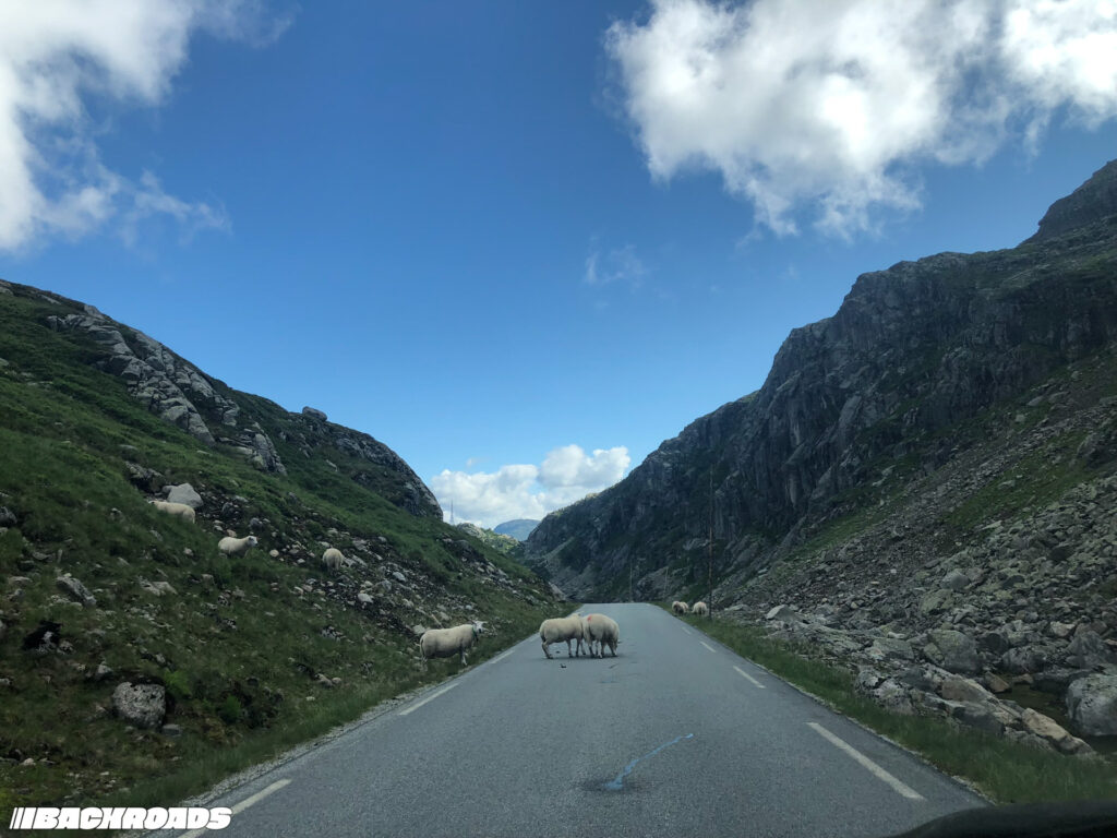 Turnpike-Backroads-BMW-PCC-HGT24-66