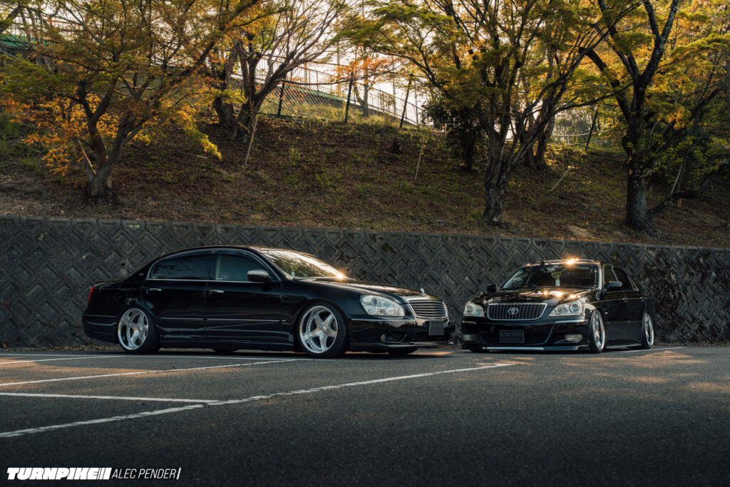 TP VIP-3