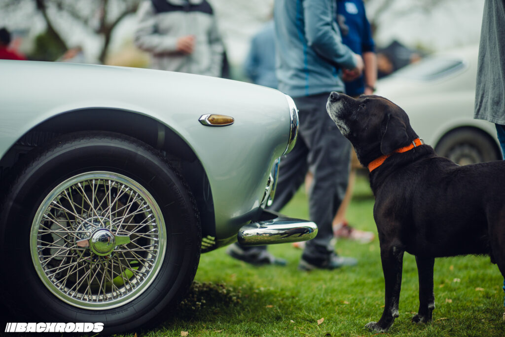 Turnpike-Backroads-Italian-Motor-Gathering-Texas-8