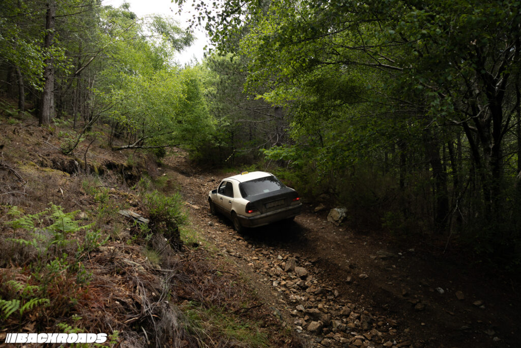 Turnpike-Backroads-Anna-Vintage-339