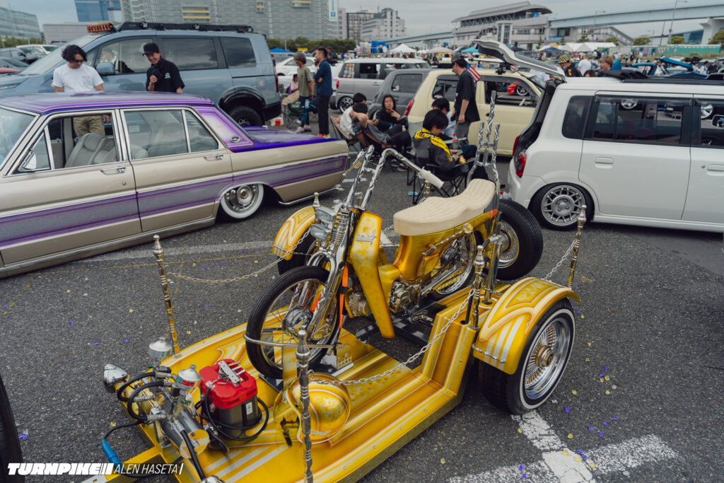 HAZ05055