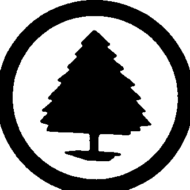 Pine Tree