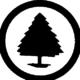 Pine Tree