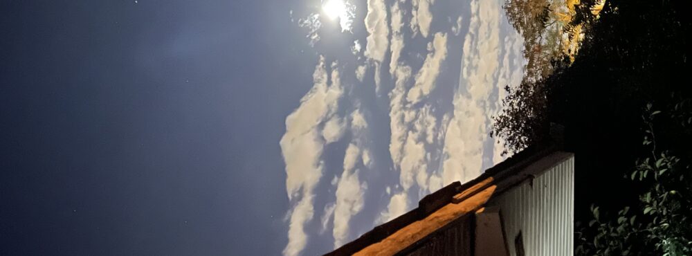 Amr_Abubakr